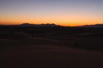 Carnaval: Descubra Por que o Whisky é o Mais Tributado